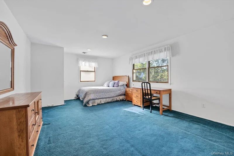 36 Somerset Drive, Great Neck, NY 11020, Great Neck, New York, United States. - Photo 22