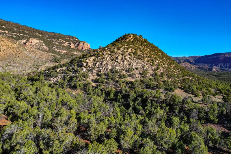 Sinbad Ranch , Gateway, CO 81522, Gateway, Colorado, United States. - Photo 40