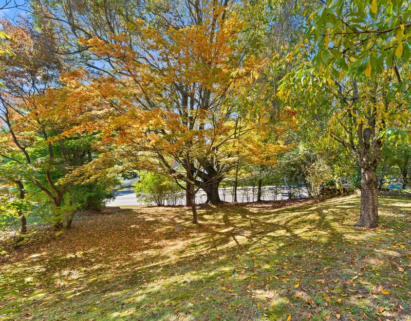 443 Benedict Avenue, Tarrytown, NY 10591, Tarrytown, New York, United States. - Photo 28