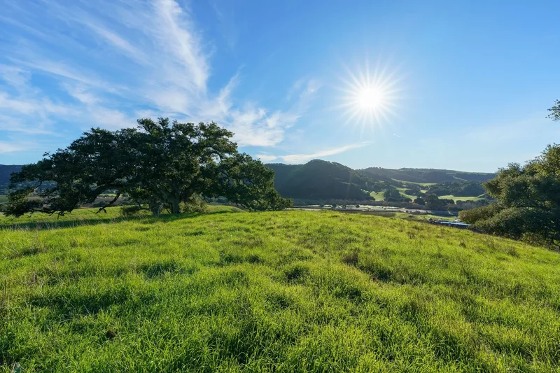 518 Bella Terra Court , San Luis Obispo, CA 93401, Pismo Beach, California, United States. - Photo 25
