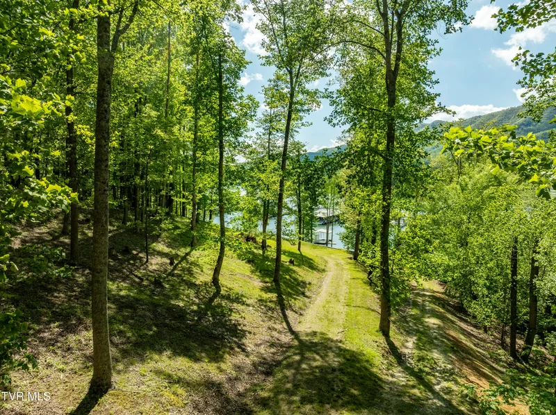 Tbd Big Oak Drive, Butler, TN 37640, Mountain City, Tennessee, United States. - Photo 29