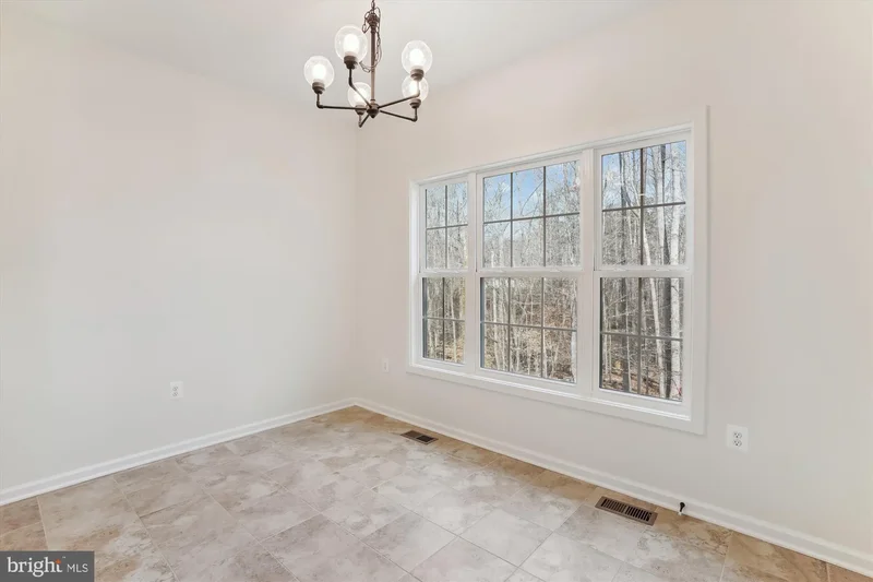 LOT 6 Ryland Chapel Road, Rixeyville, VA 22737, Rixeyville, Virginia, United States. - Photo 19