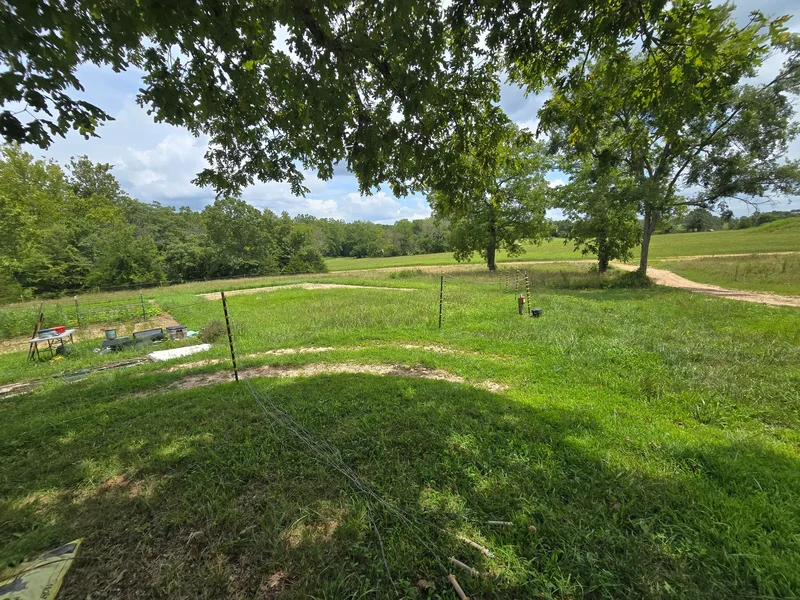 299 Hwy T, Oldfield, MO 65720, Oldfield, Missouri, United States. - Photo 18