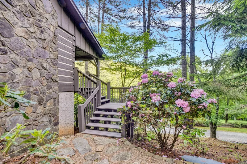 236 Turkeyfoot Lane, Vilas, NC 28692, Vilas, North Carolina, United States. - Photo 3