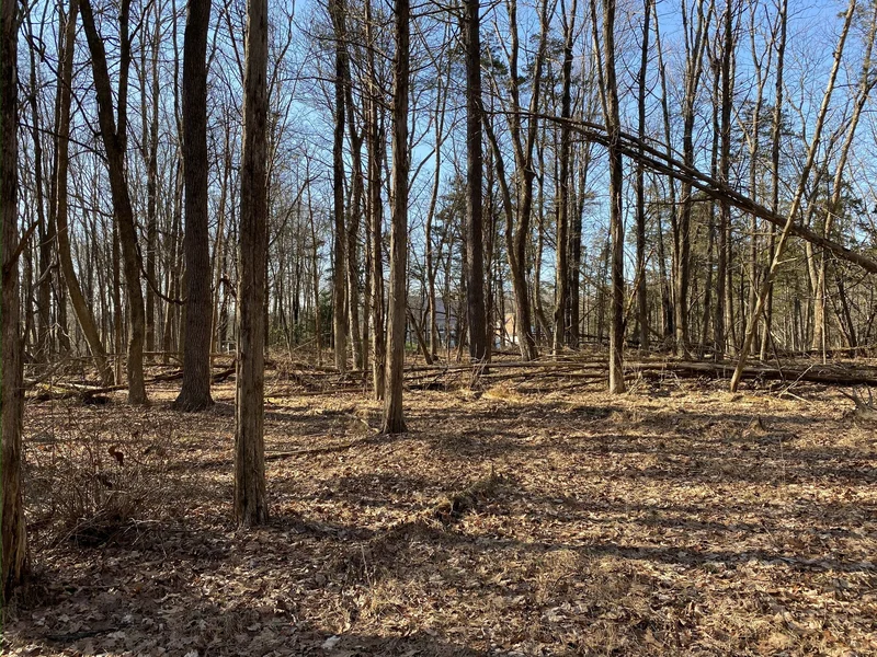 13 Lily Valley Road , Erwinna, PA 18920, 18920, Pennsylvania, United States. - Photo 7