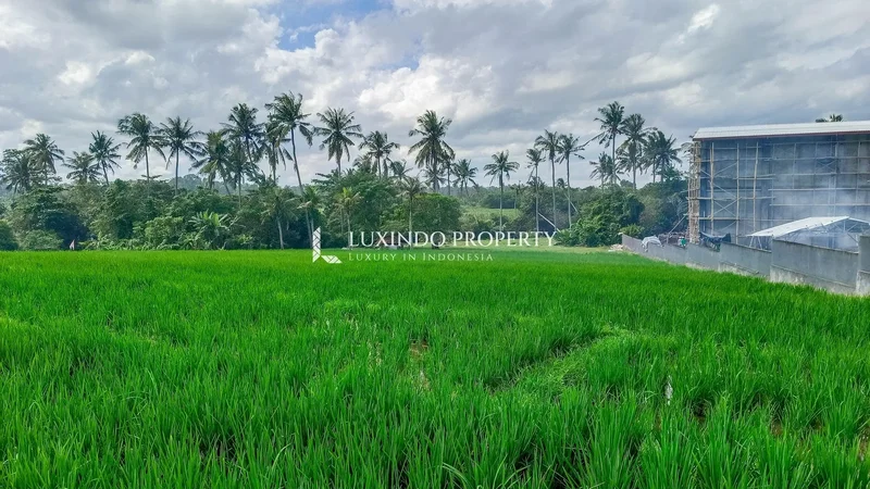 Beraban, Selemadeg Timur, Tabanan Regency, Bali, Indonesia, Bali, Indonesia. - Photo 3