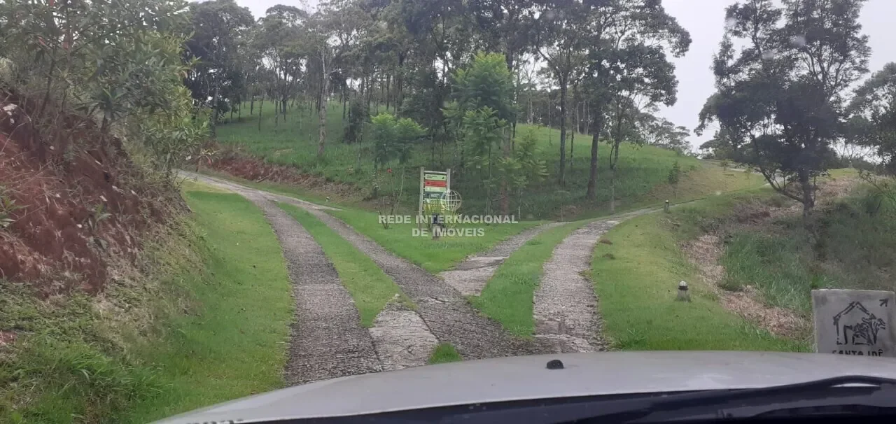 State of São Paulo, Brazil. - Photo 28