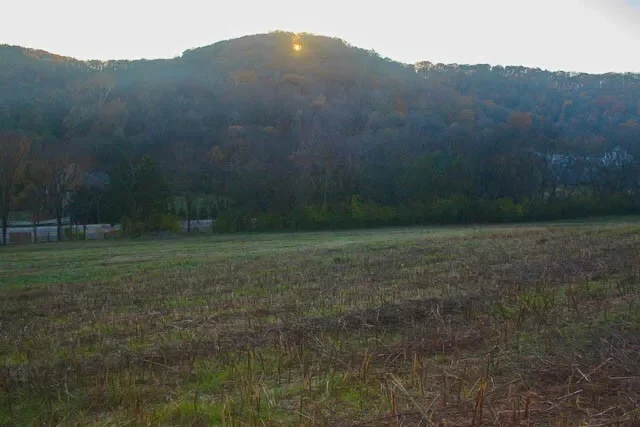 0 Peytonsville Rd, Franklin, TN 37064, Franklin, Tennessee, United States. - Photo 29