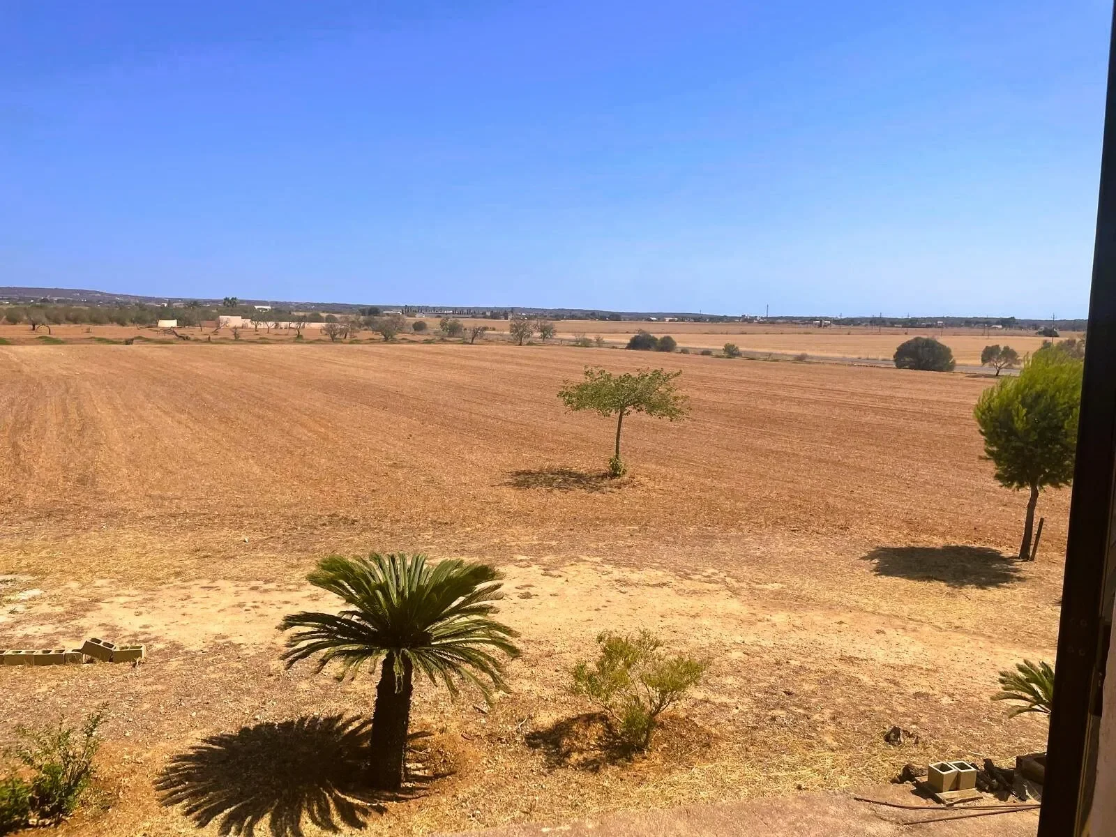 Campos, Mallorca, Campos, Campos, Balearic Islands, Spain. - Photo 2