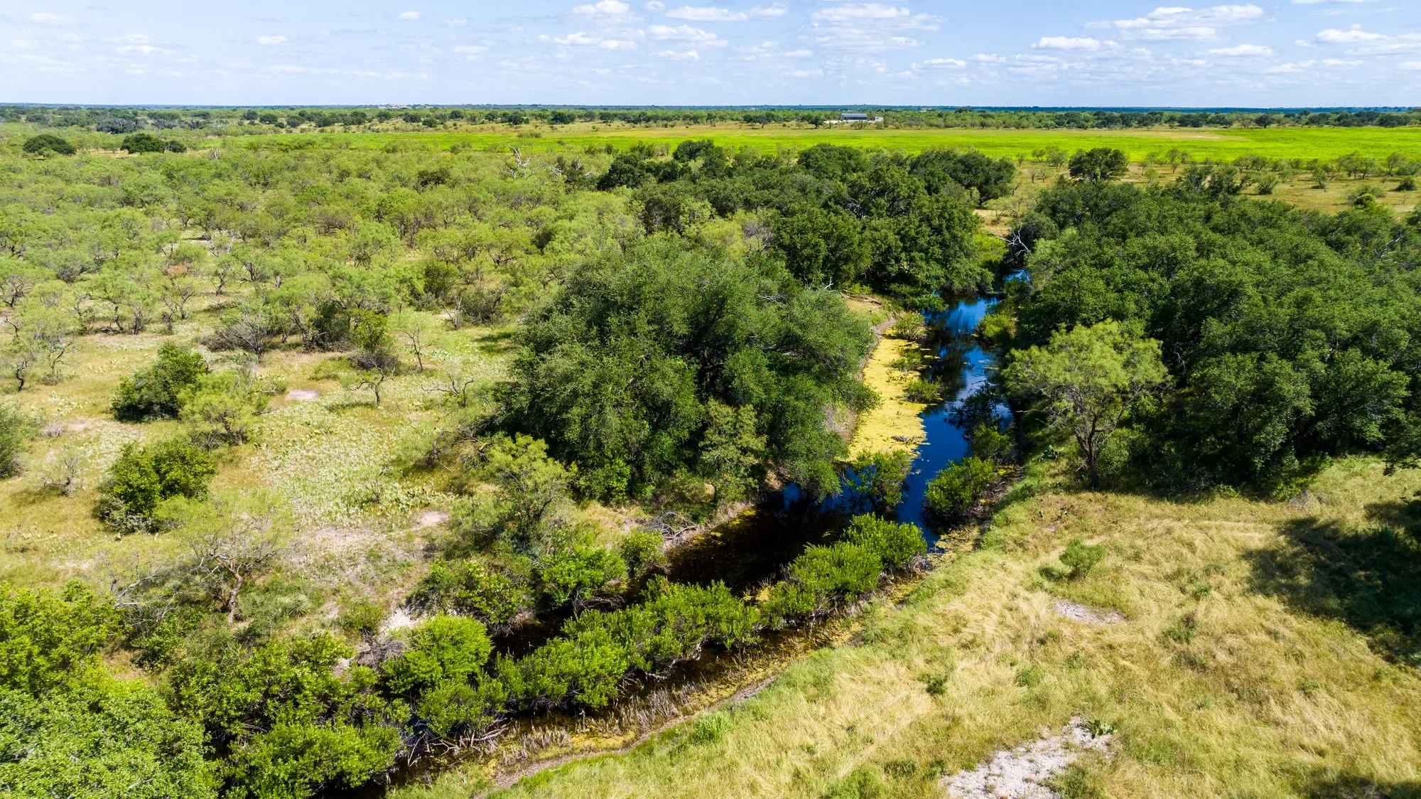 Brady Creek Ranch CR 3388, Melvin, TX 76858, Melvin, Texas, United States. - Photo 23
