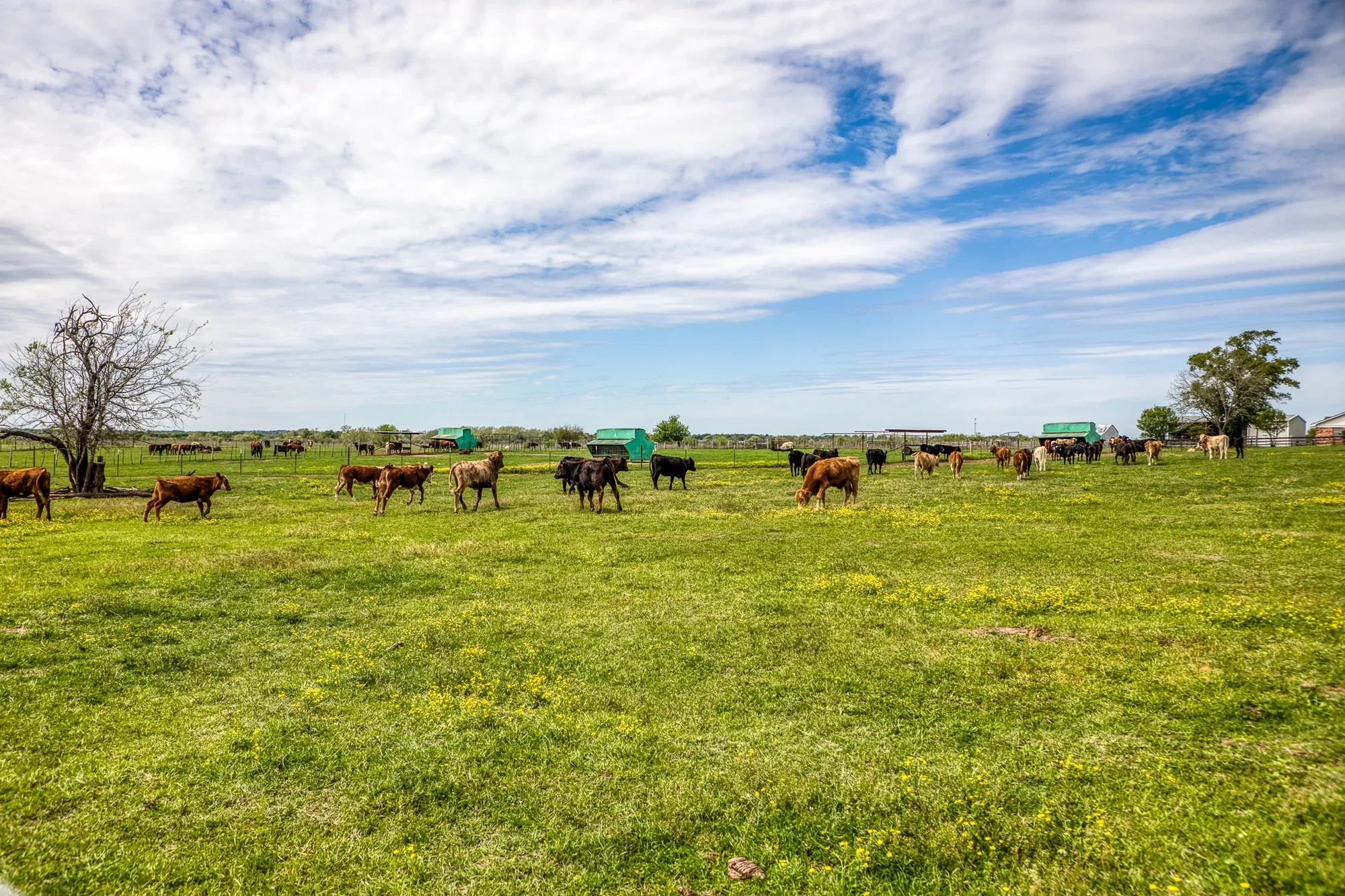 20751 Fm 1155 E , Washington, TX 77880, Washington, Texas, United States. - Photo 17