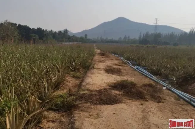57 Rai (9.27 Hectares) of Land for Exclusive High End Development at the Back of Wat Huay Mongkol, H