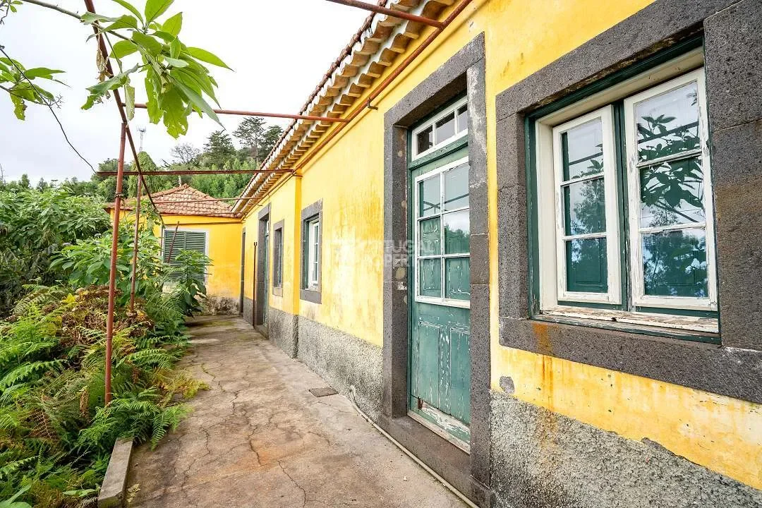 Funchal, Madeira, Funchal, Se, Madeira, Portugal. - Photo 14