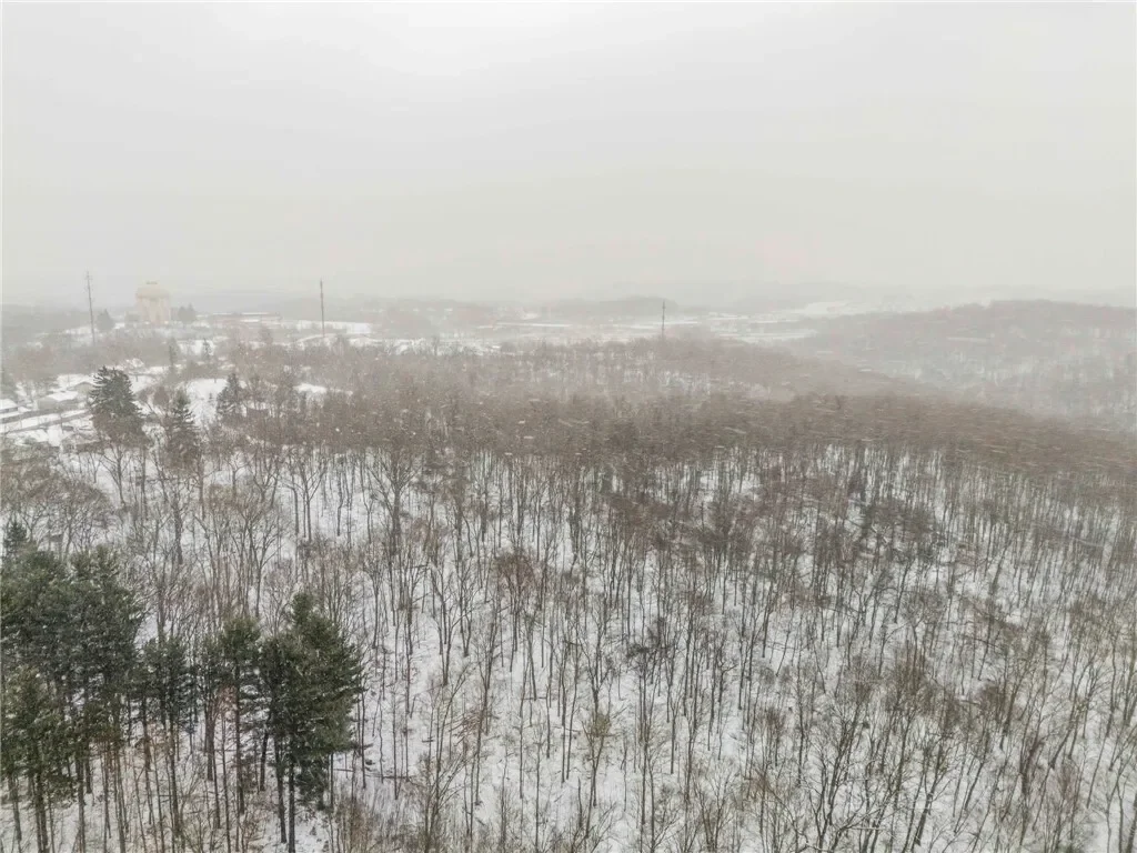 0 Spring Run Rd Ext, Coraopolis, PA 15108, Coraopolis, Pennsylvania, United States. - Photo 5
