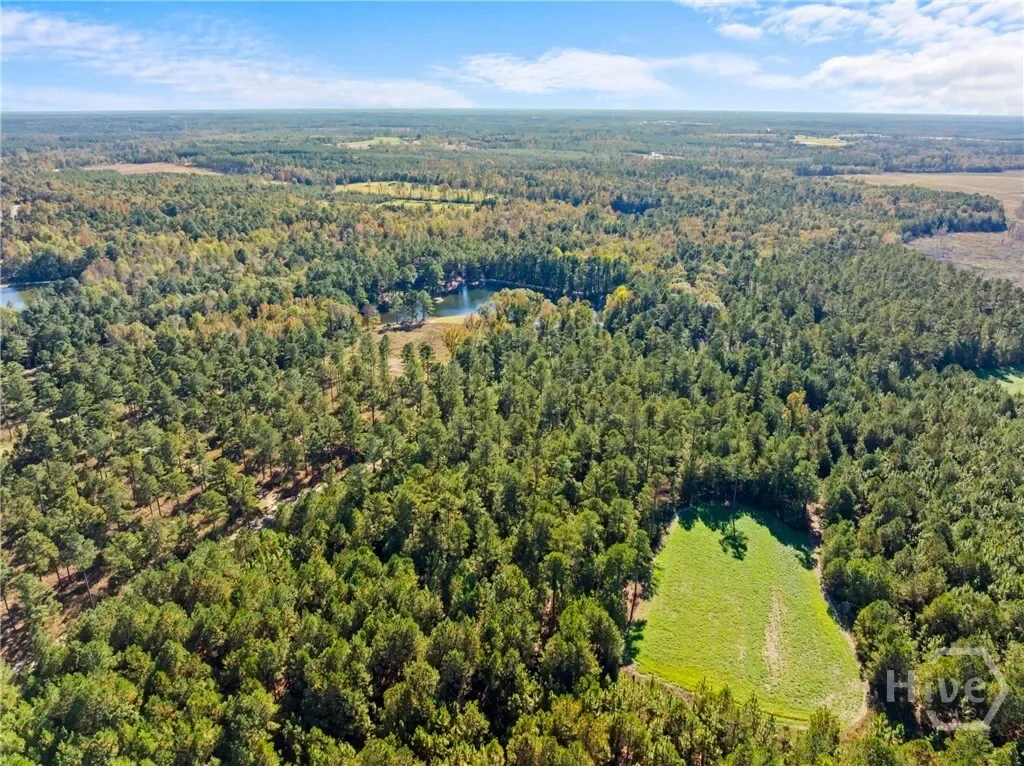 0 Honey Ridge Road, Millen, Georgia, United States. - Photo 62