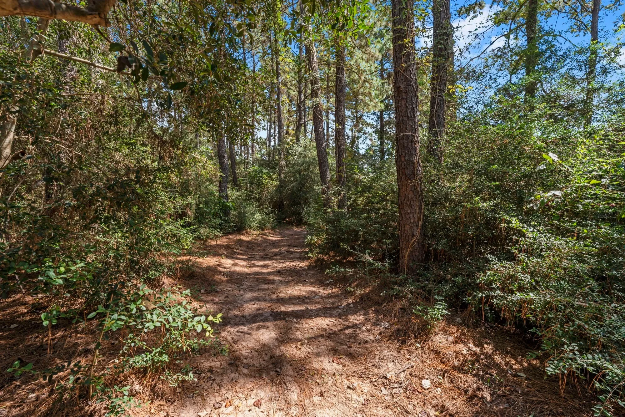 1534 Virgie Community Road, Magnolia, TX 77354, Magnolia, Texas, United States. - Photo 43