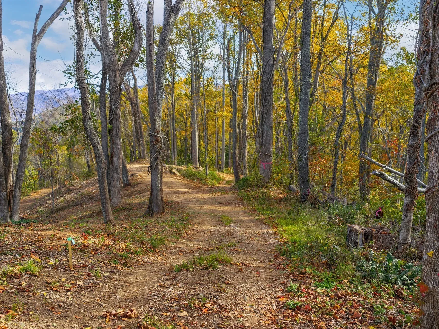 566 Elk Mountain Scenic, Asheville, NC, 28804, USA, Weaverville, North Carolina, United States. - Photo 13