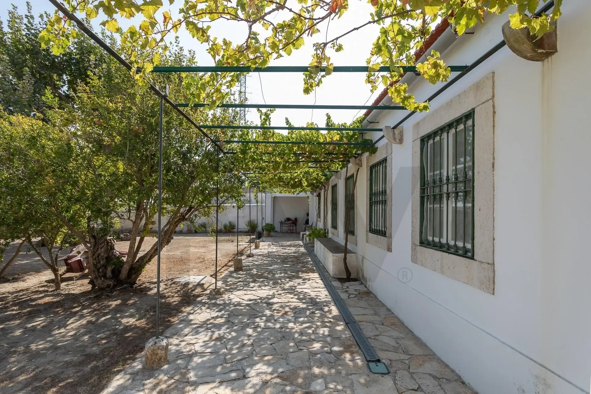 Exterior photo 10