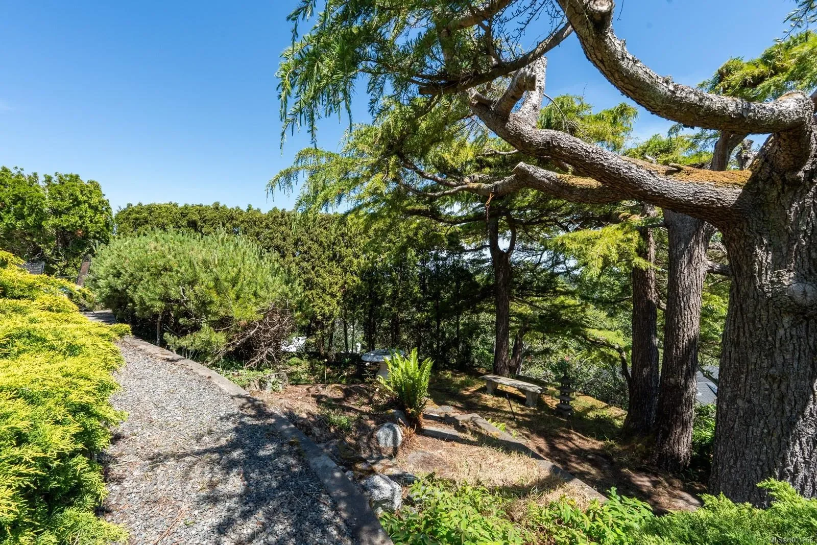 305 Denison Rd, Oak Bay, British Columbia, Canada. - Photo 12
