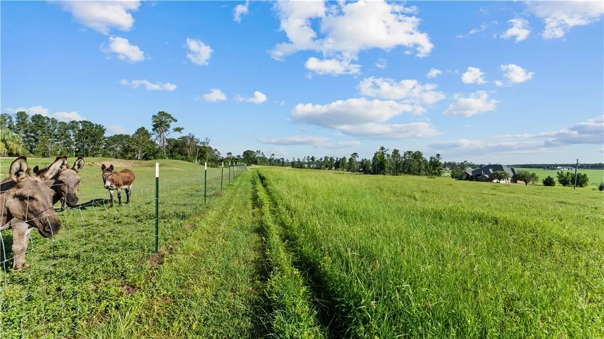 485 Beaver Kreek Road, Other, GA 31533, Douglas, Georgia, United States. - Photo 62