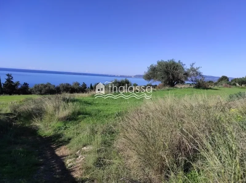 Argostoli, Peloponnese, Western Greece and the Ionian, Greece. - Photo 11