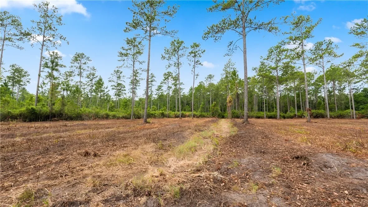 1 Coastal Estates Drive, Brunswick, GA 31525, Brunswick, Georgia, United States. - Photo 16