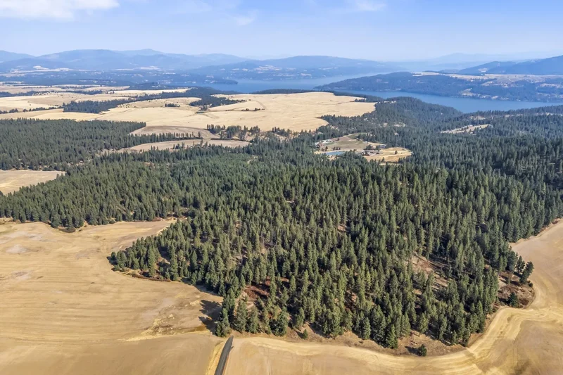 8597 W Rolling Hills Road, Worley, ID 83876, Worley, Idaho, United States. - Photo 17