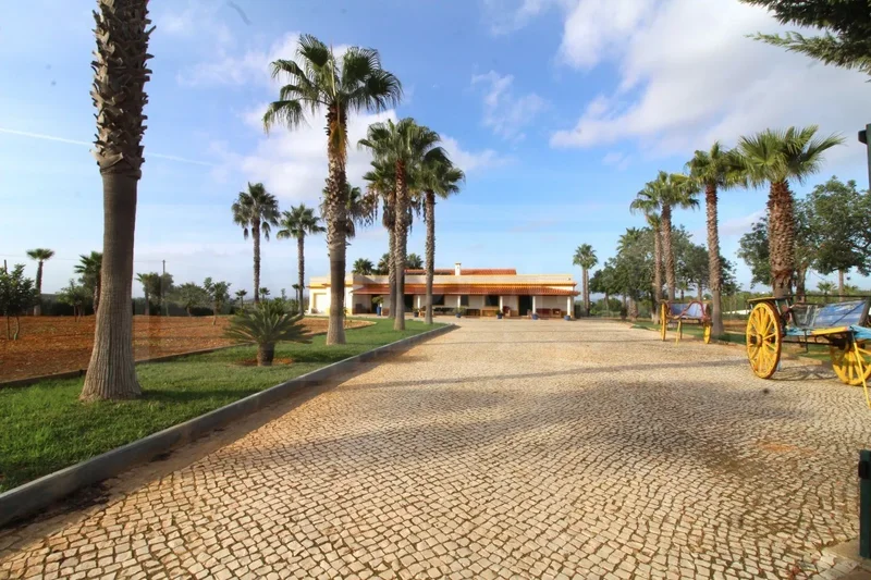 Villa / Farm located in a quiet area, close to golf courses and beaches, with a total area of 16,260