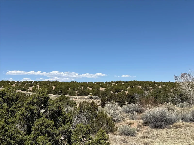 147 Avenida Frijoles, Santa Fe, NM 87507, Santa Fe, New Mexico, United States. - Photo 6