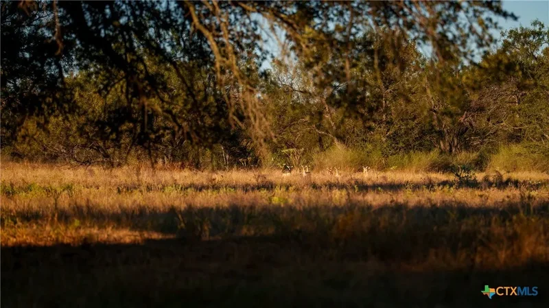 7702 Ranch Road 965, Llano, TX 78643, Llano, Texas, United States. - Photo 44