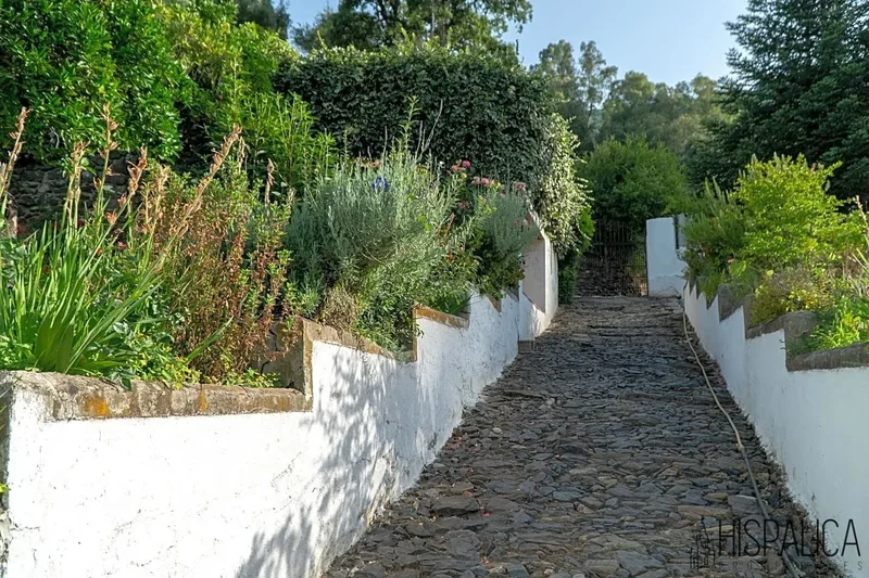 Jubrique, Málaga, Jubrique, Jubrique, Andalusia, Spain. - Photo 19