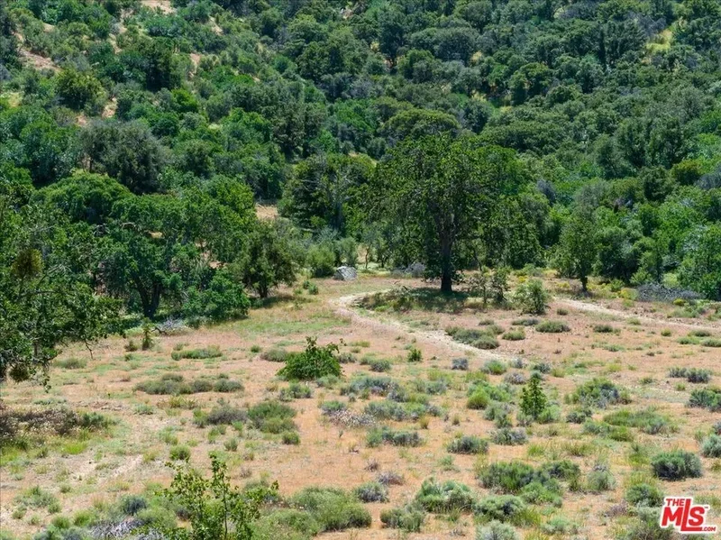 31008 Pine Canyon Road, Lake Hughes, California, United States. - Photo 22