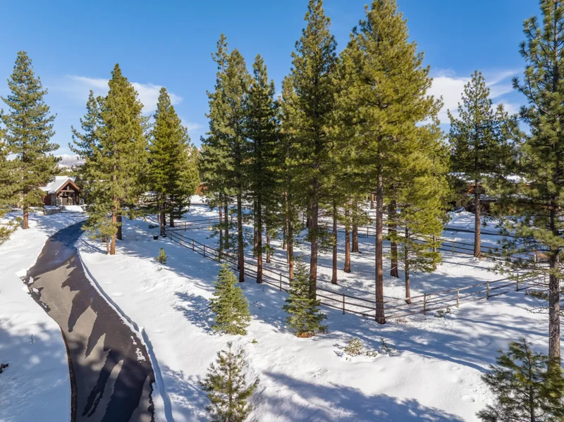 17615 Crooked Tree Court, Truckee, CA 96161, Truckee, California, United States. - Photo 19