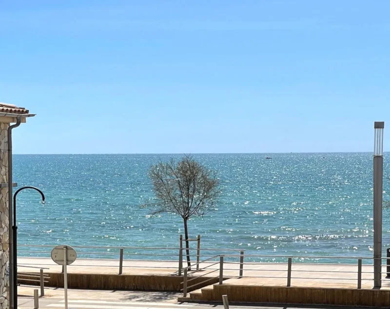 Palma, Mallorca, Palma, Palma, Balearic Islands, Spain. - Photo 1