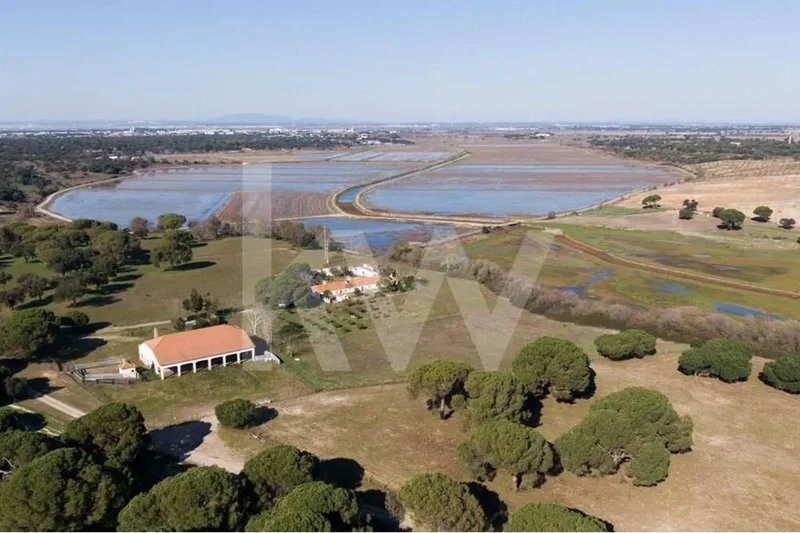 Benavente, Benavente, Santarém, Benavente, Benavente, Santarem District, Portugal. - Photo 15
