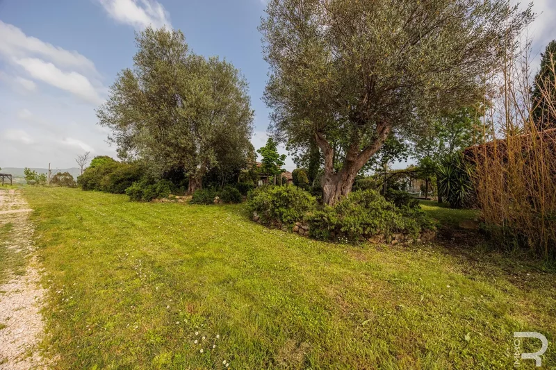58014 Manciano, Province of Grosseto, Italy, Manciano, Tuscany, Italy. - Photo 42