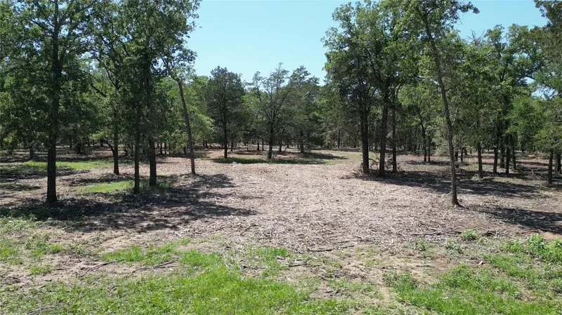 431 Nink Road, Smithville, TX 78957, Smithville, Texas, United States. - Photo 7