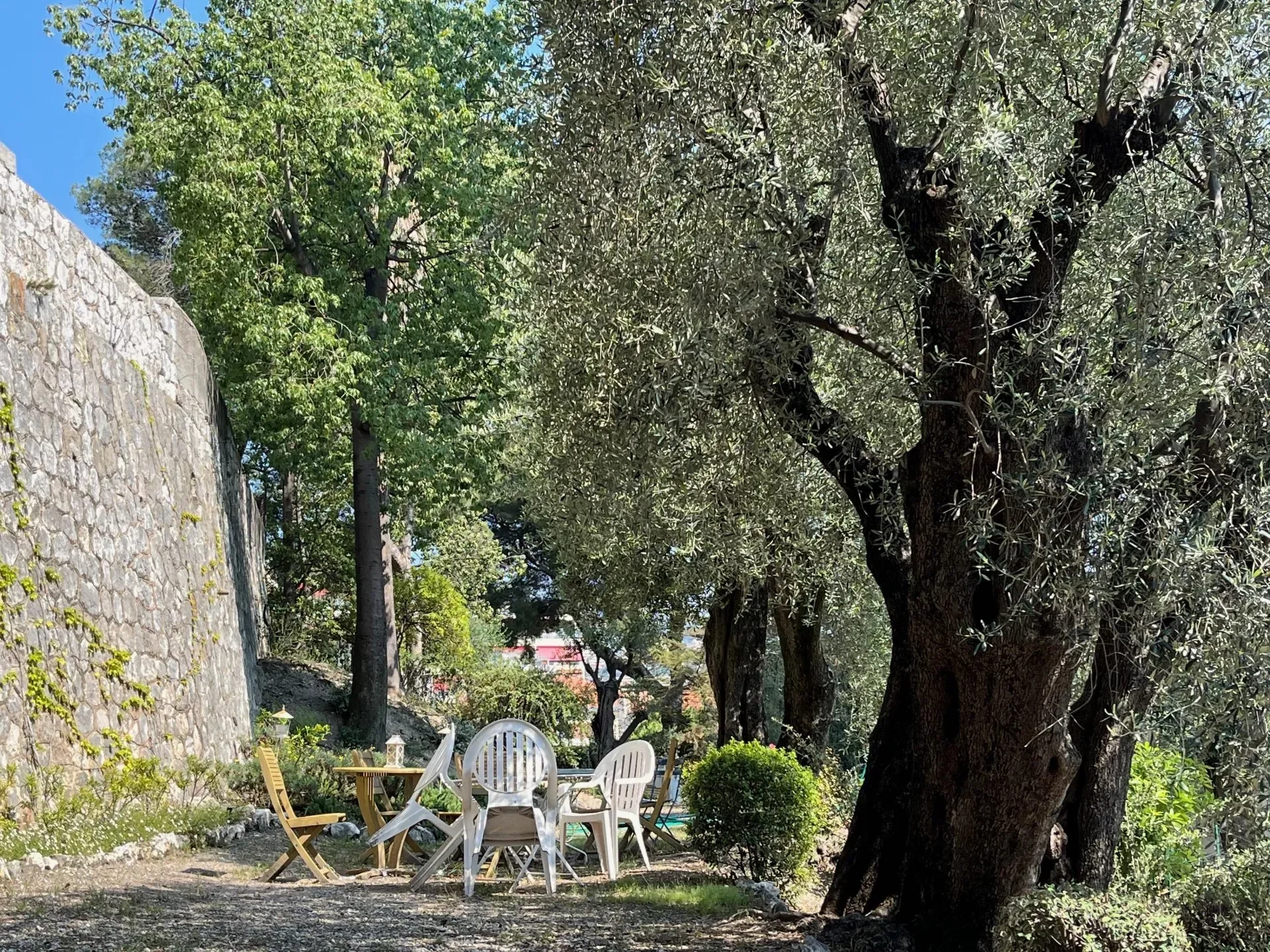 Nice, Provence-Alpes-Côte d'Azur, France. - Photo 10