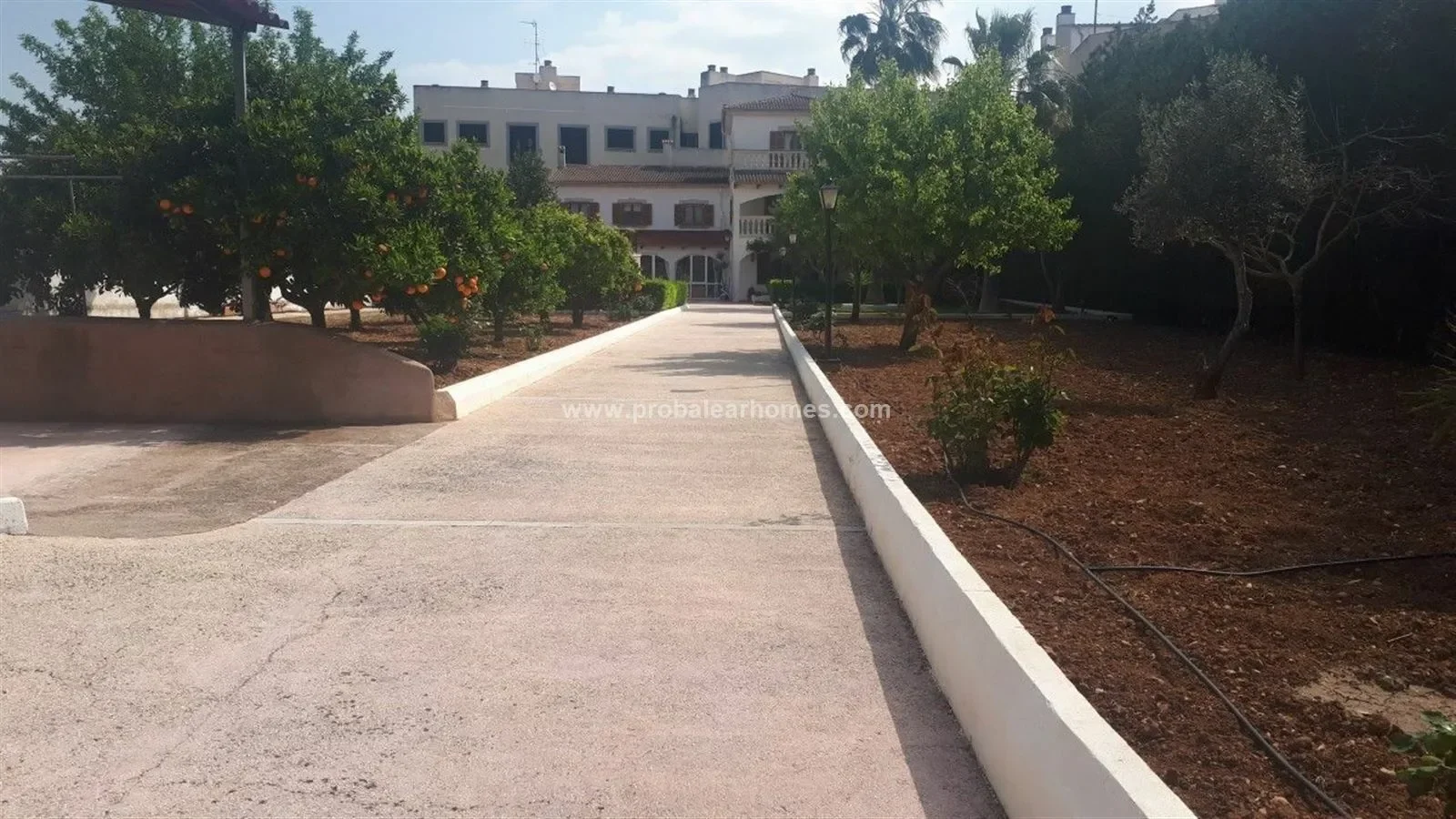 PORRERES, Baleares, PORRERES, Porreres, Balearic Islands, Spain. - Photo 17