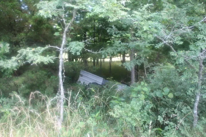 3176 S 170th Road, Polk, MO 65727, Bolivar, Missouri, United States. - Photo 60