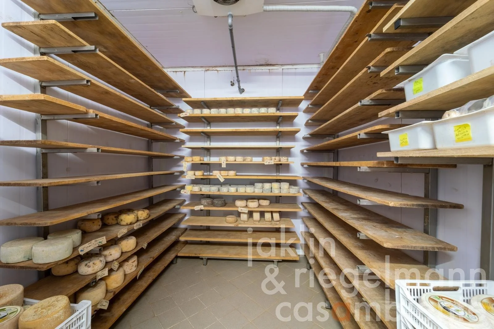 Gallery photo 2