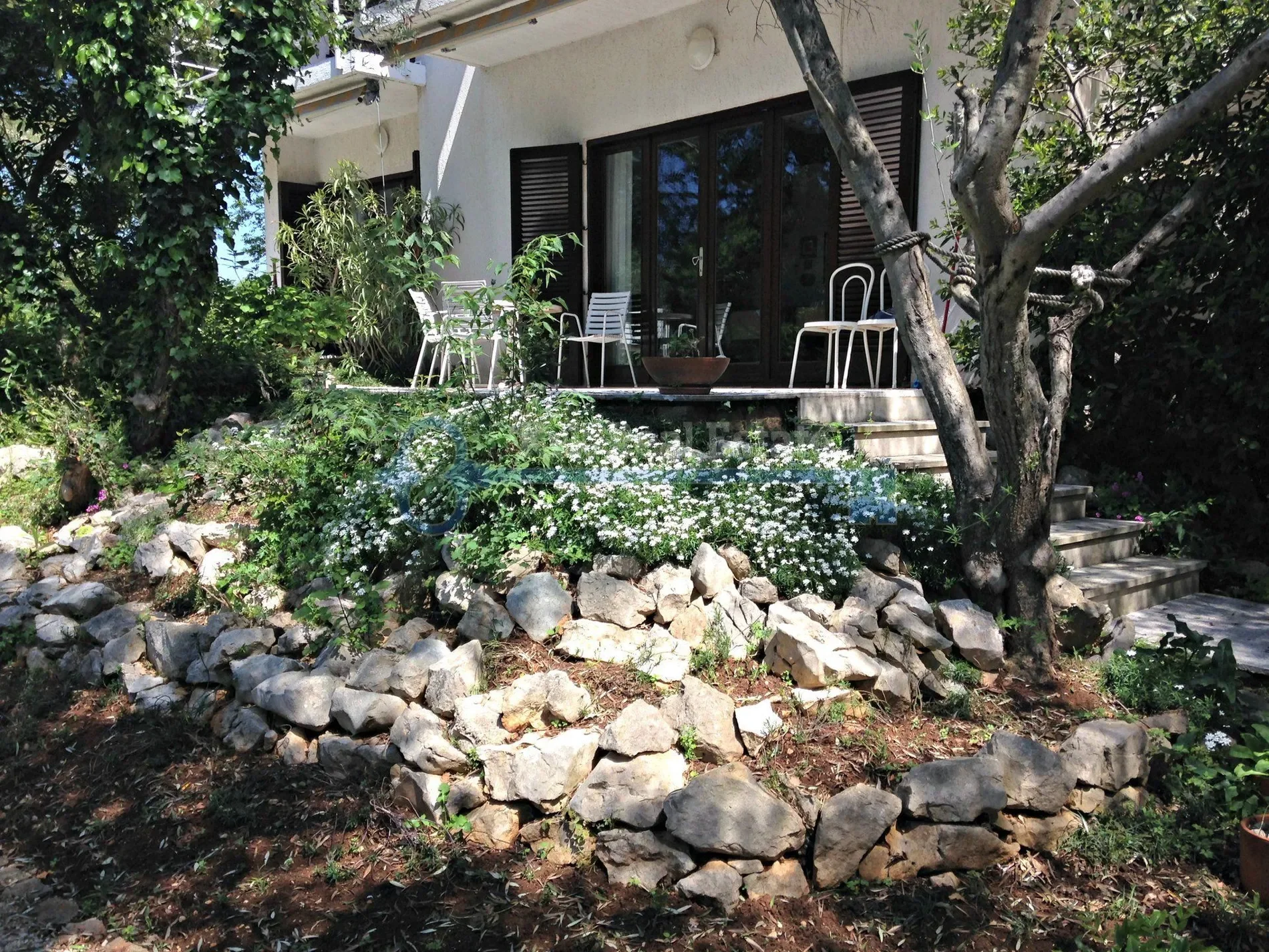 Gallery photo 6
