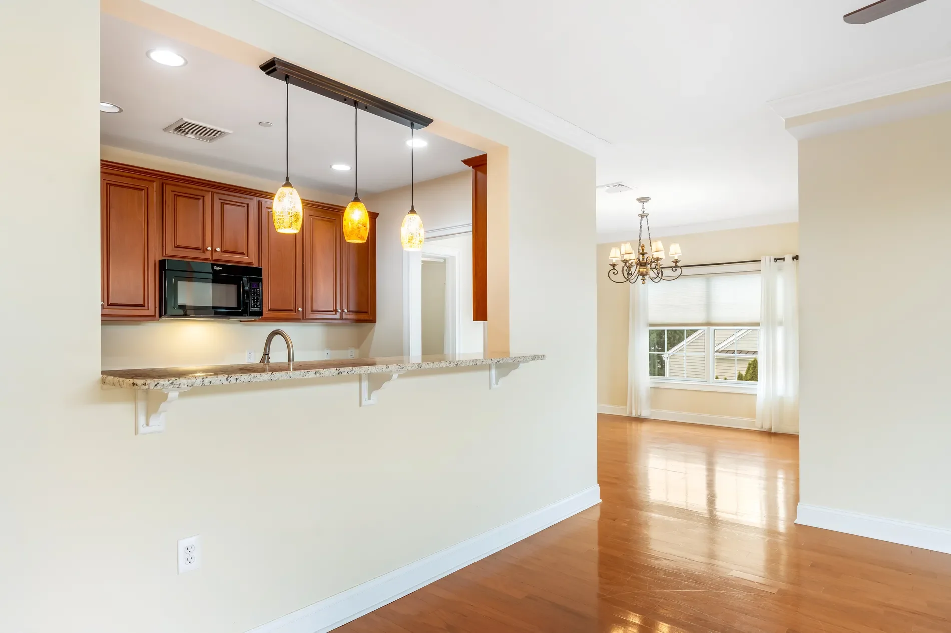 Gallery photo 11