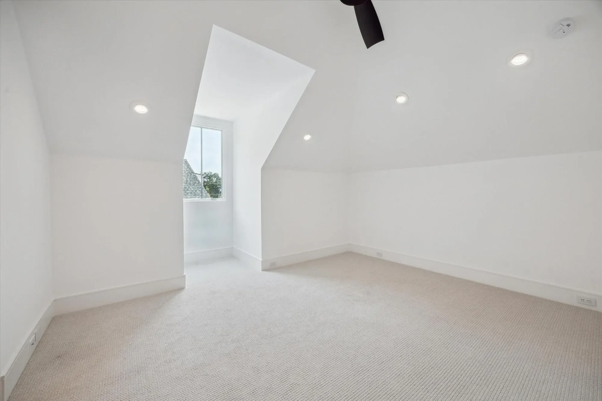 Gallery photo 12