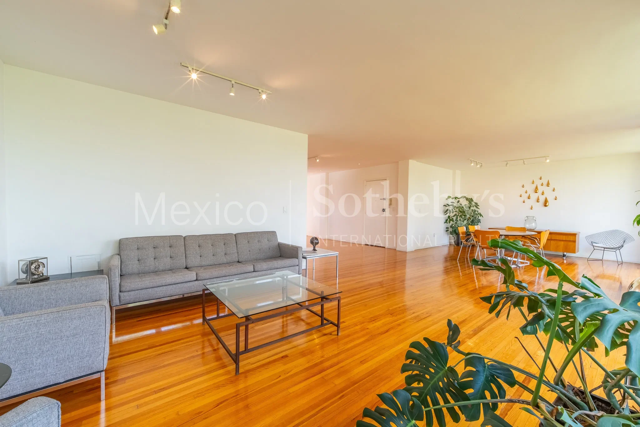 Gallery photo 5