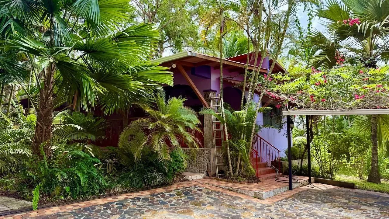 Cermeno, Provincia de Panamá Oeste, Panama. - Photo 2