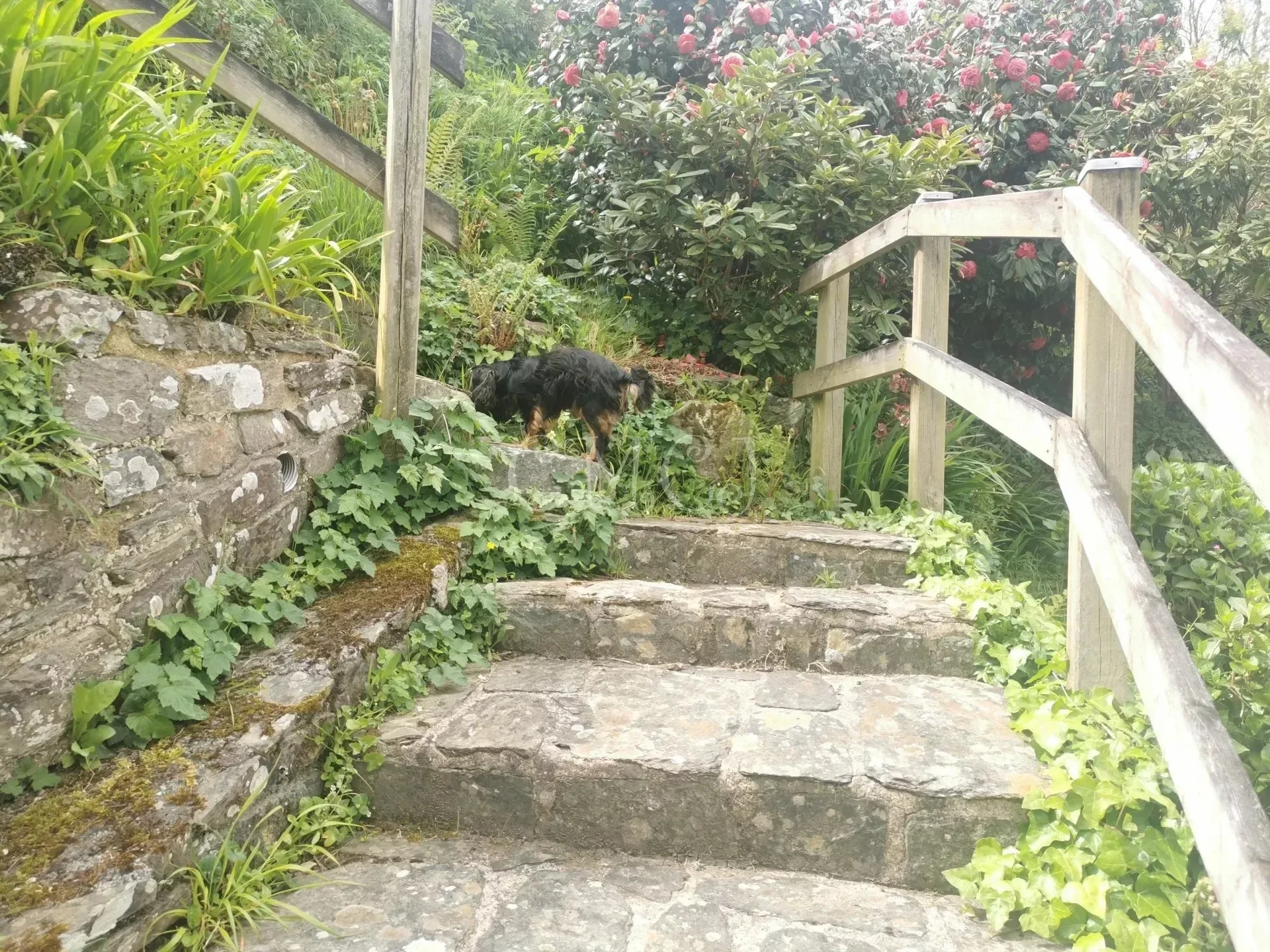 Gallery photo 8