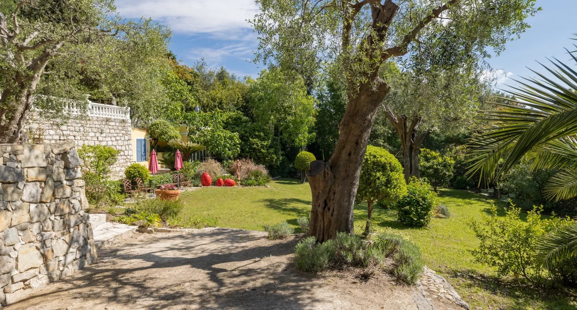 Nice, Provence-Alpes-Côte d'Azur, France. - Photo 14