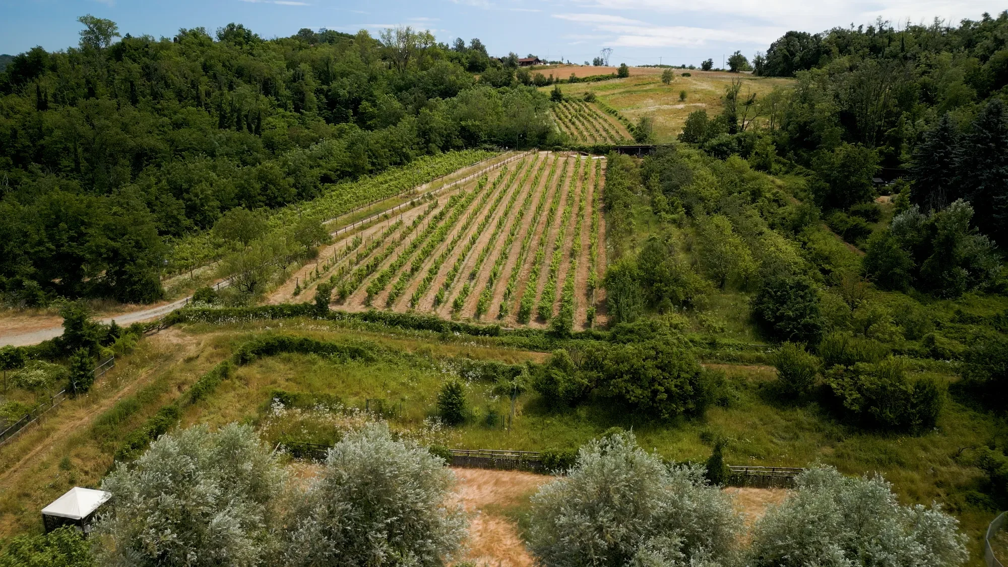 15051 Carezzano AL, Italy, Carezzano Superiore, Piedmont, Italy. - Photo 47