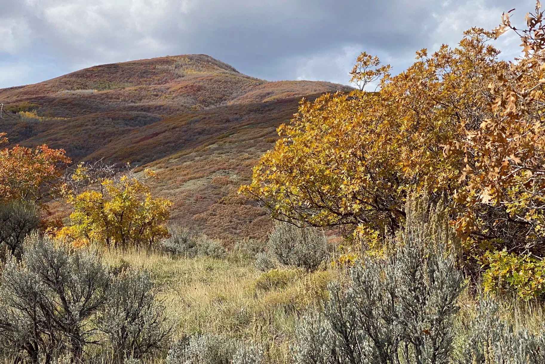Bear North Parcels 06-5891, 06-4415 & 21-7238, Midway, UT 84049, Midway, Utah, United States. - Photo 5